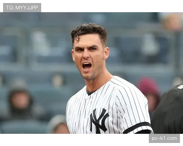 教士队与酿酒人队因降雨裁定比赛，教士队5-2获胜